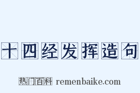 十四经发挥造句是什么意思的图片